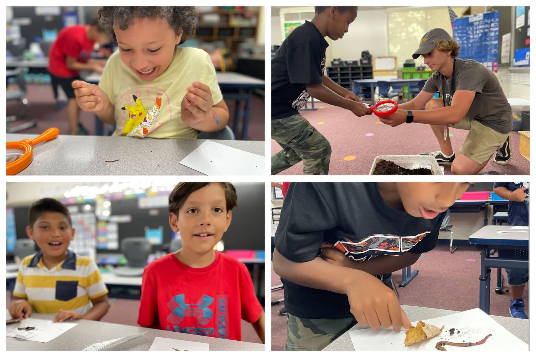  Learning About Worms - HOPE Gardens 