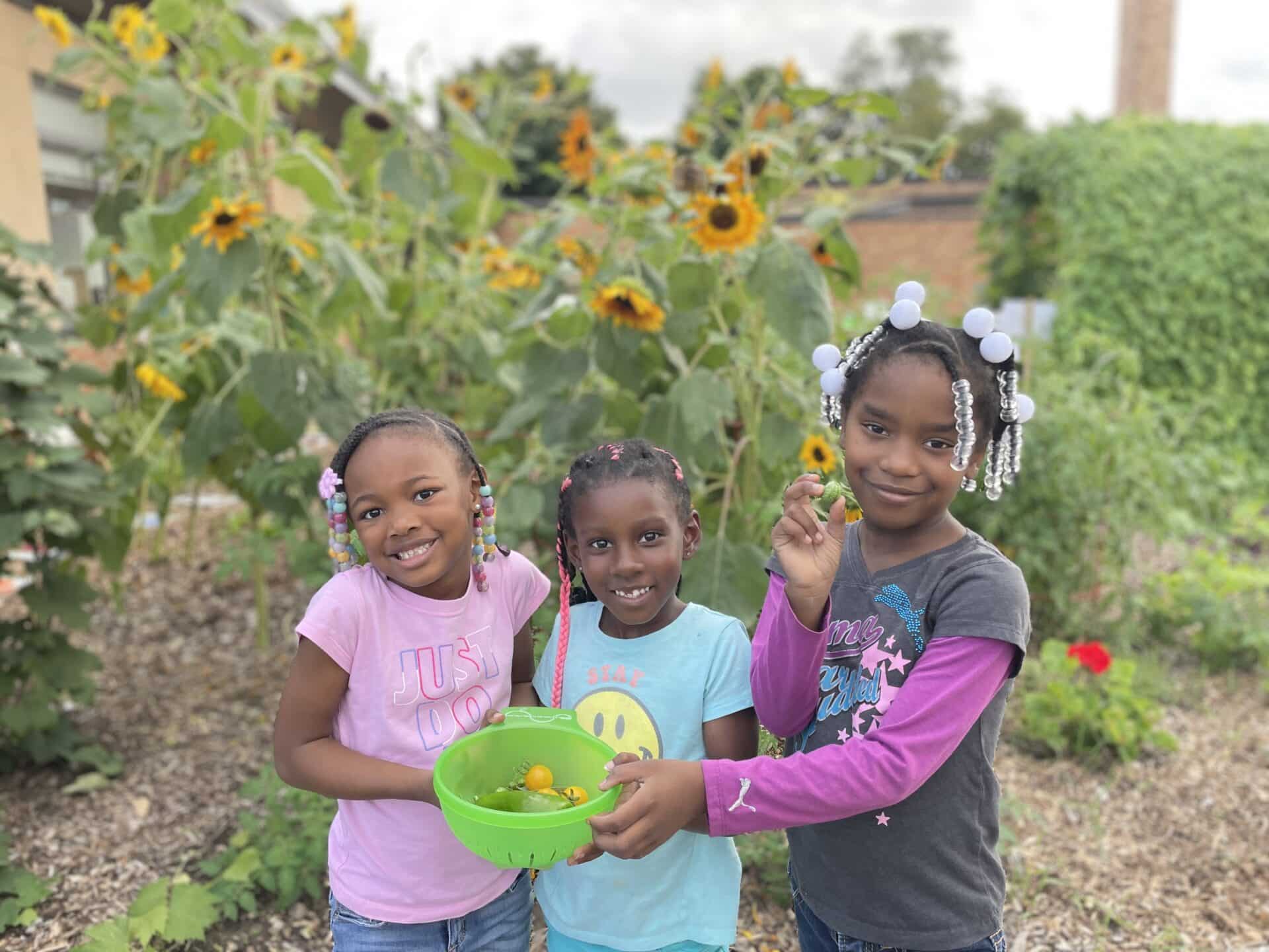 Harvest Time Hope Gardens